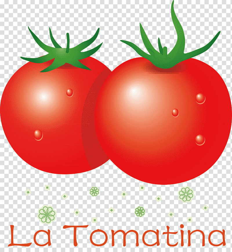 La Tomatina Tomato Throwing Festival, Natural Food, Bush Tomato, Local Food, Vegetable, Fruit, Superfood transparent background PNG clipart