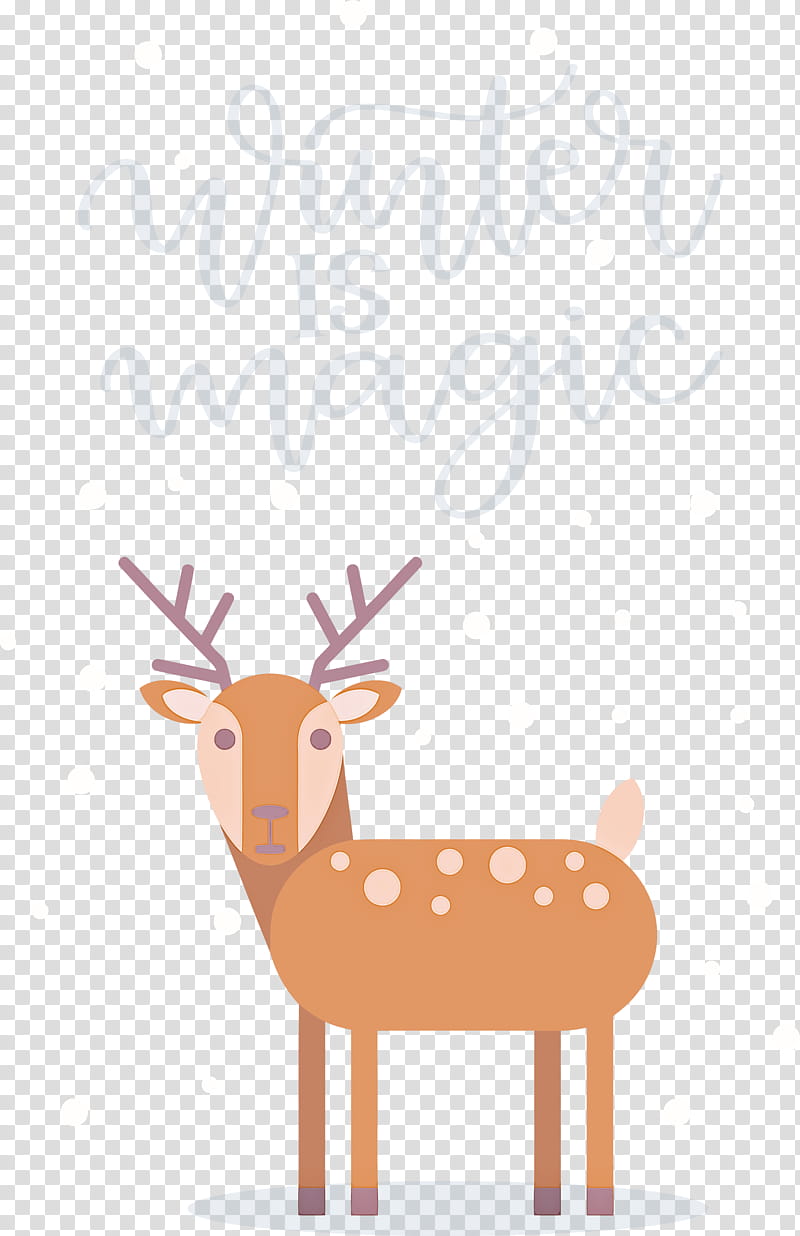 Winter Is Magic Hello Winter Winter, Winter
, Polar Bear, Bears, Owls, Red Panda, Brown Bear transparent background PNG clipart