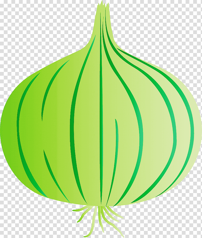 onion, Plant Stem, Leaf, Squash, Tree, Green, Commodity transparent background PNG clipart