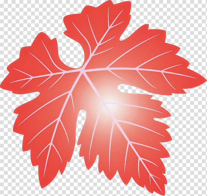 Grapes Leaf leaf, Grape Leaves, Tree, Red, Maple Leaf, Plant, Woody Plant, Flower transparent background PNG clipart