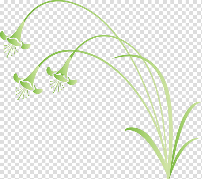 flower frame decoration frame, Green, Plant, Leaf, Grass, Lily Of The Valley, Grass Family, Plant Stem transparent background PNG clipart
