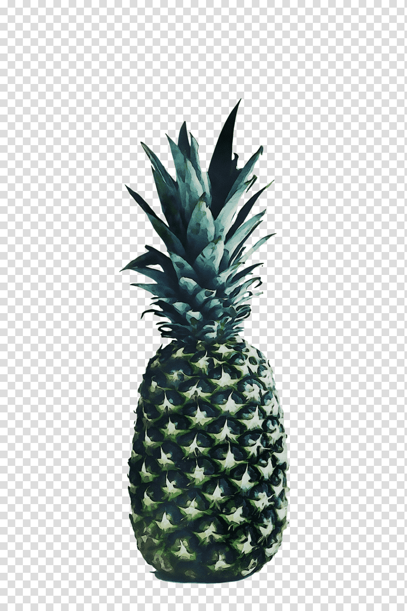 Pineapple, Watercolor, Paint, Wet Ink, Pricewhirl, Online Grocer, Grocery Store transparent background PNG clipart