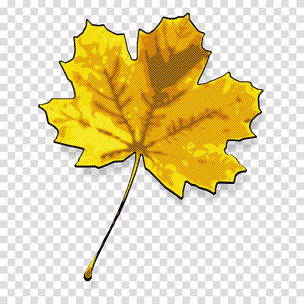 plant stem leaf flower maple leaf / m yellow, Maple Leaf M, Tree, Meter, Line, Biology, Plant Structure transparent background PNG clipart