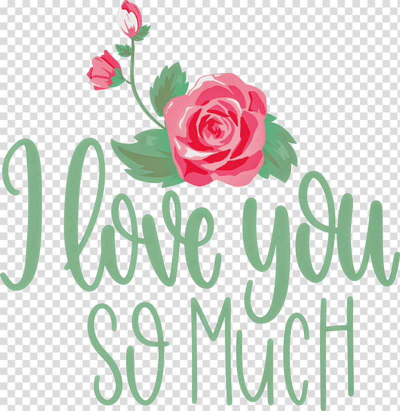 I Love You So Much Valentines Day Love, Floral Design, Garden Roses, Cut Flowers, Rose Family, Petal, Meter transparent background PNG clipart