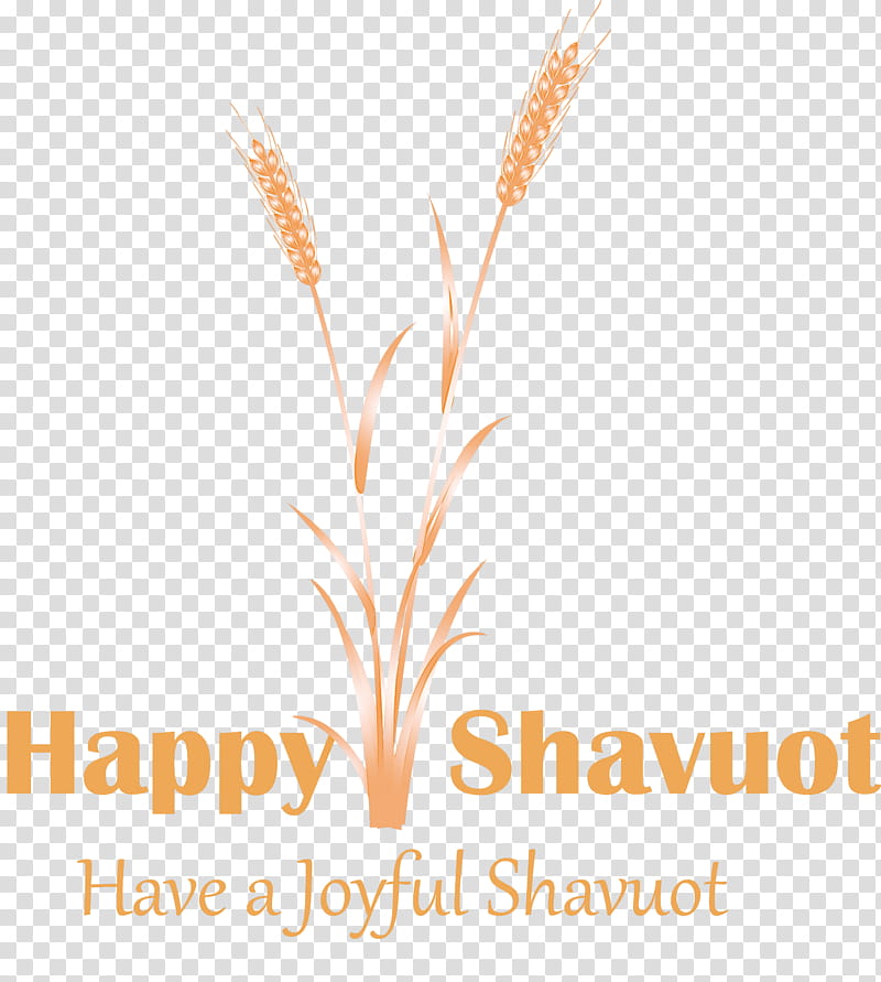 Happy Shavuot Shavuot Shovuos, Text, Grass Family, Line, Logo, Plant transparent background PNG clipart
