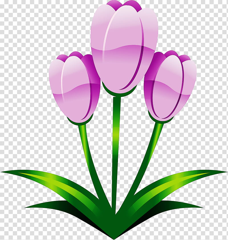easter flower spring flower, Tulip, Petal, Plant, Pink, Purple, Violet, Magenta transparent background PNG clipart