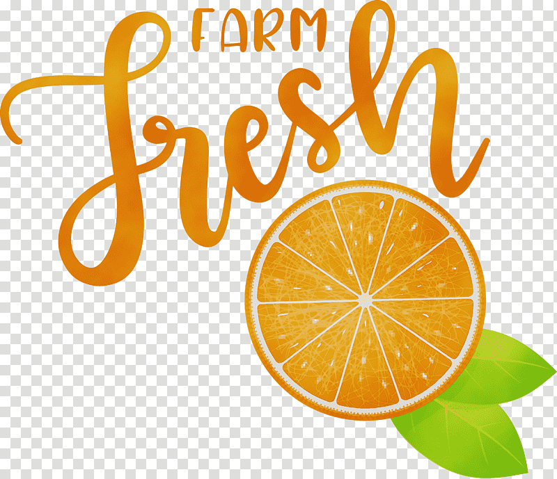 Orange, Farm Fresh, Watercolor, Paint, Wet Ink, Vegetarian Cuisine, Logo transparent background PNG clipart