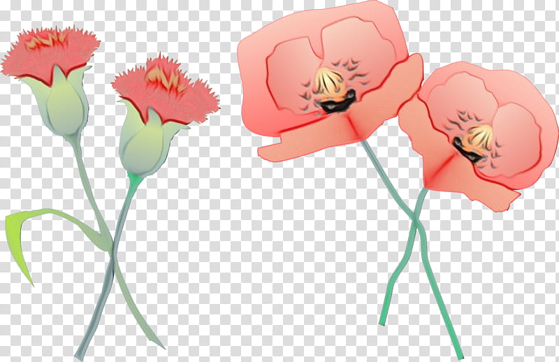 flower cut flowers pink petal plant, Watercolor, Paint, Wet Ink, Plant Stem, Pedicel, Poppy Family, Tulip transparent background PNG clipart