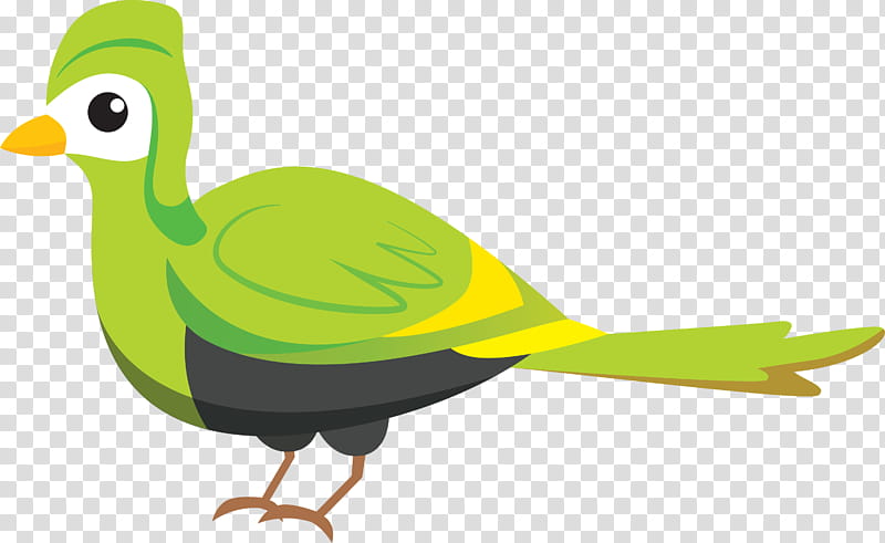 Feather, Bird Cartoon, Cute Bird, Duck, Birds, Beak, Rufous Hummingbird, Greater Flamingo transparent background PNG clipart