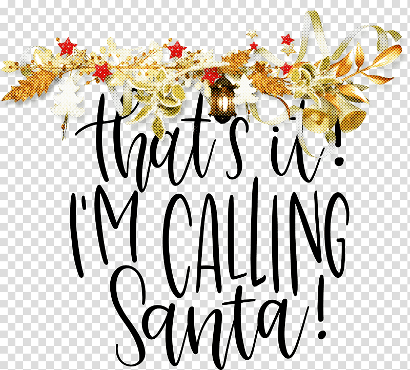 Calling Santa Santa Christmas, Christmas , Floral Design, Cut Flowers, Petal, Tree, Meter transparent background PNG clipart