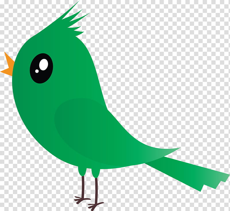 bird green beak parrot perching bird, Cartoon Bird, Cute Bird, Songbird, Tail transparent background PNG clipart