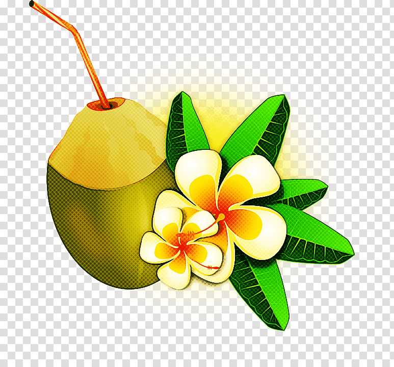 Coconut, Cartoon, Drawing, Black And White
, Royaltyfree, Painting transparent background PNG clipart