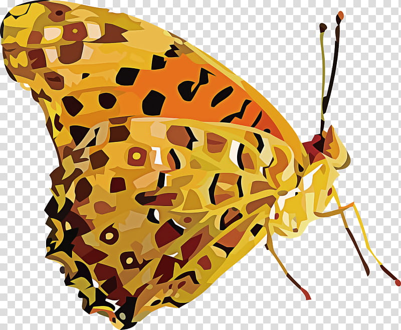 Monarch butterfly, Insect, Brushfooted Butterflies, Moth, Tiger Milkweed Butterflies transparent background PNG clipart