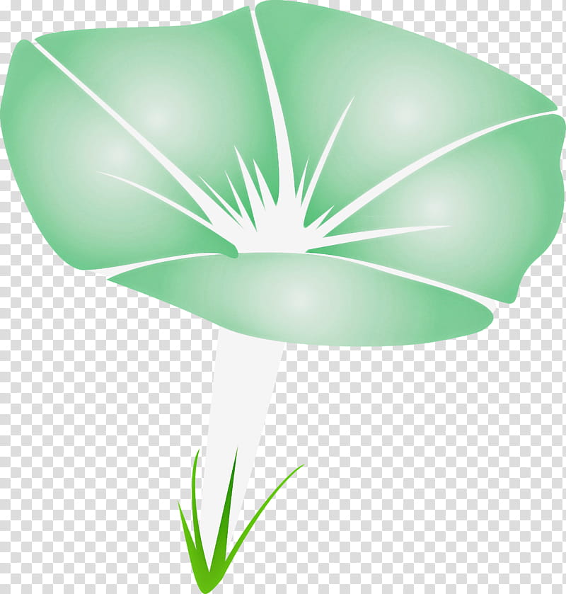 Morning Glory Flower, Green, Leaf, Plant, Petal, Grass, Plant Stem, Wildflower transparent background PNG clipart