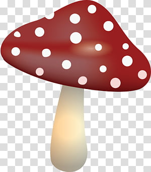 mushroom, Polka Dot, Agaric, Lamp transparent background PNG clipart thumbnail