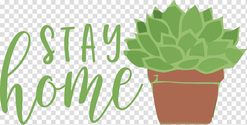 STAY HOME, Leaf, Flowerpot, Herb, Meter, Tree, Biology transparent background PNG clipart