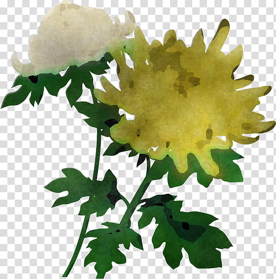 Chrysanthemum chrysanths, Cut Flowers, Floral Design, Garland, Tulip, Leaf, Lily, Yellow Flower transparent background PNG clipart
