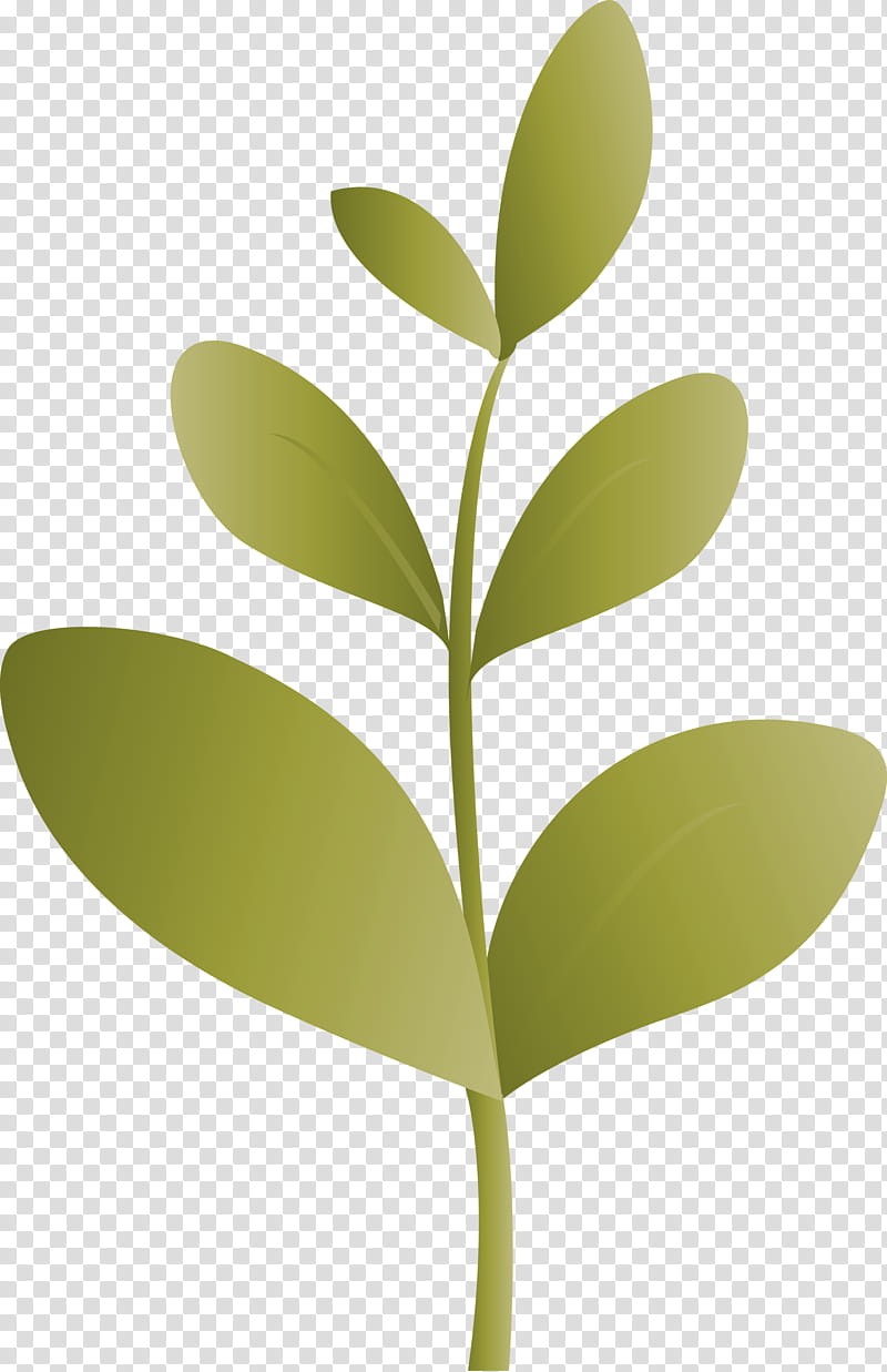 sprout bud seed, Flush, Leaf, Plant, Flower, Tree, Plant Stem, Hypericum transparent background PNG clipart