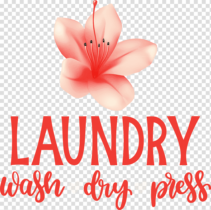 Laundry Wash Dry, Press, Cut Flowers, Petal, Meter, Orange Sa, Plants transparent background PNG clipart