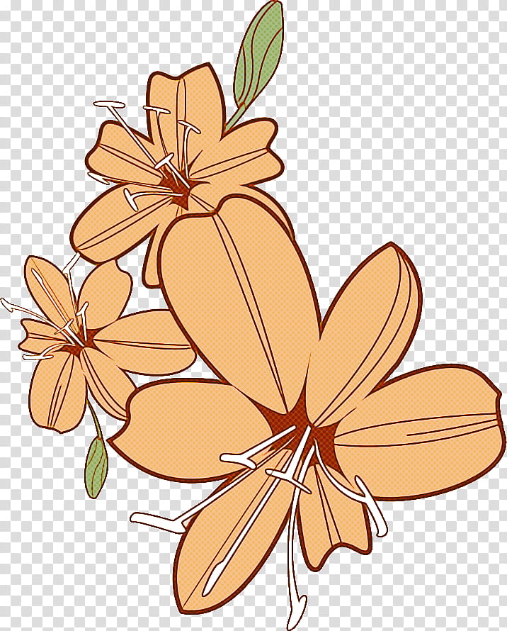 Lily Flower, Plant Stem, Petal, Cut Flowers, Talk To The Hand, Plants, Plant Structure, Science transparent background PNG clipart