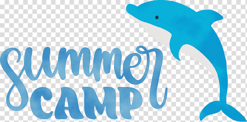 dolphin porpoises cetaceans meter logo, Summer Camp, Summer
, Watercolor, Paint, Wet Ink, Whales transparent background PNG clipart