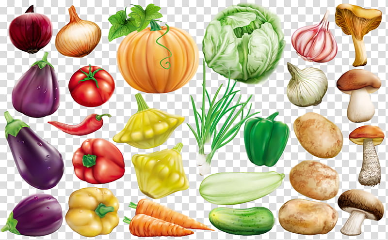Thanksgiving Autumn Harvest, Vegetable, Superfood, Natural Foods, Nutraceutical, Food Group, Winter Squash, Local Food transparent background PNG clipart