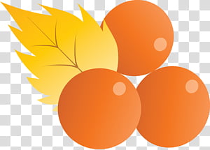 sphere transparent background PNG clipart thumbnail