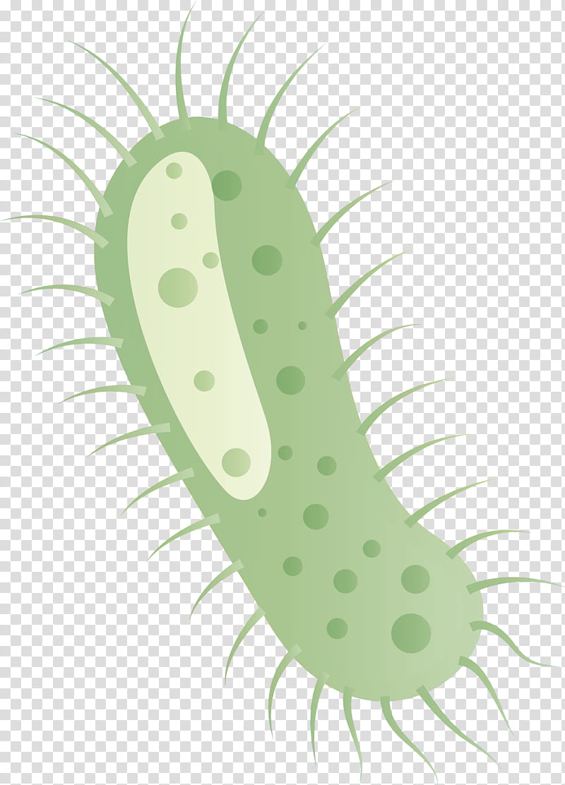 Coronavirus Corona COVID, Green, Plant, Leaf, Insect, Grass, Cucumber, Cucumis transparent background PNG clipart