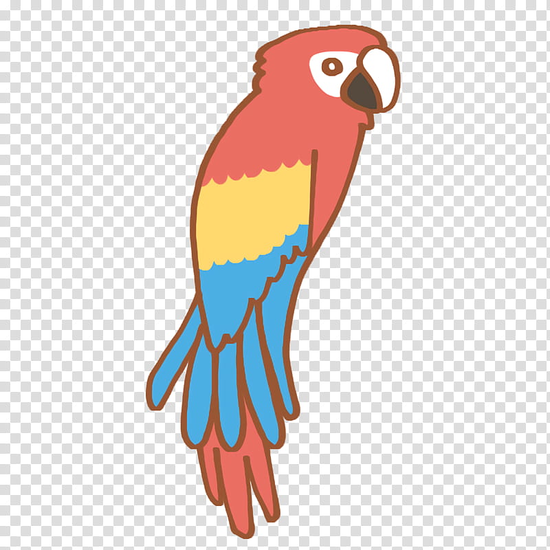 macaw beak birds parakeet, Bird Of Prey, Japanese People, Violin, Lecturer, Communication transparent background PNG clipart