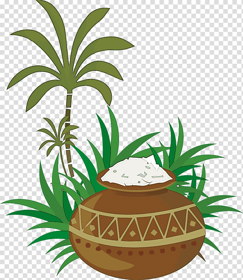 pongal, Idea, Watercolor Painting, Coconut, Presentation, Flower, Tableau Software transparent background PNG clipart