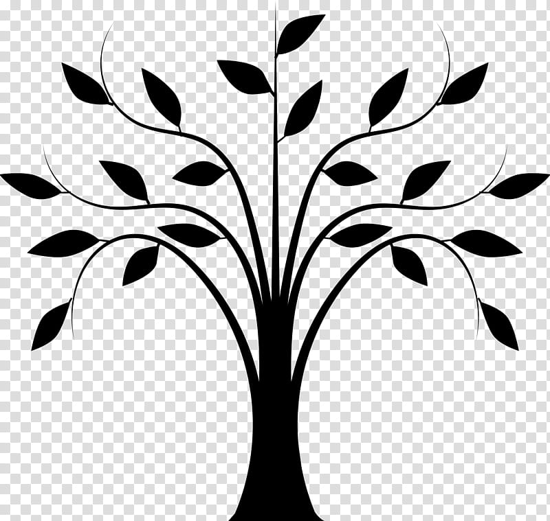 Flower Line Art, Drawing, Tree, Flowering Dogwood, Leaf, Blackandwhite, Branch, Plant transparent background PNG clipart