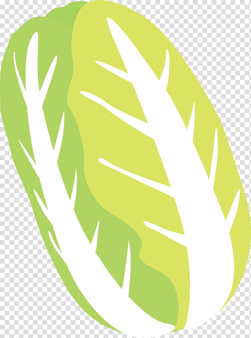 nappa cabbage, Green, Leaf, Yellow, Logo, Plant, Leaf Vegetable, Monstera Deliciosa transparent background PNG clipart