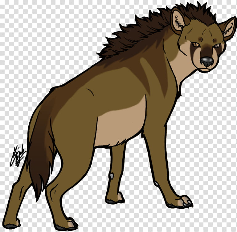 Lion King, Hyena, Tiger, Cat, Drawing, Spotted Hyena, Animal, Wildlife transparent background PNG clipart
