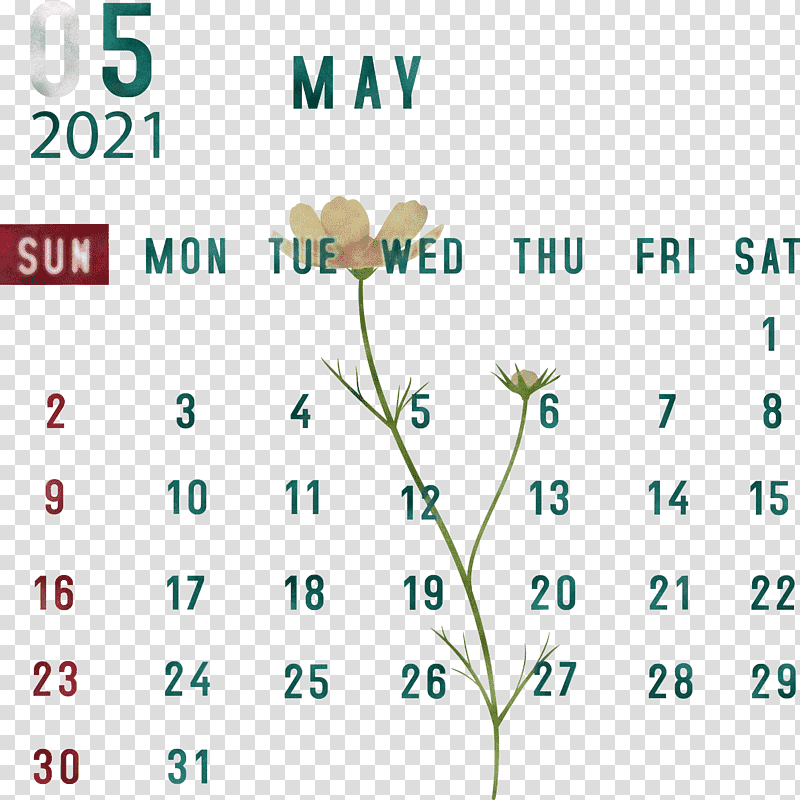 May 2021 Calendar May Calendar 2021 Calendar, Leaf, Green, Line, Tree, Meter, Number transparent background PNG clipart