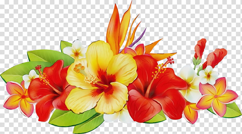 Floral design, Watercolor, Paint, Wet Ink, Lily Of The Incas, Cut Flowers, Flower Bouquet, Canna transparent background PNG clipart