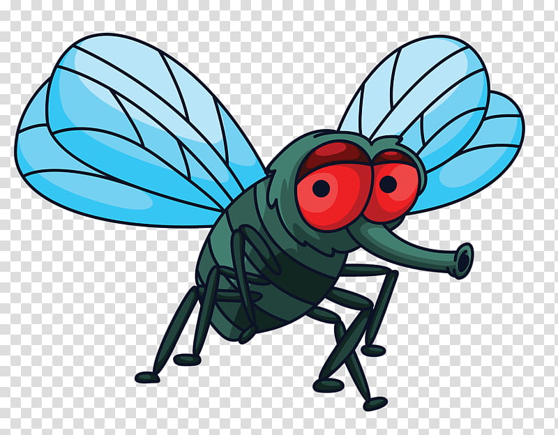 insect cartoon fly house fly wing, Pest, Membranewinged Insect, Animation, Blowflies, Damselfly transparent background PNG clipart