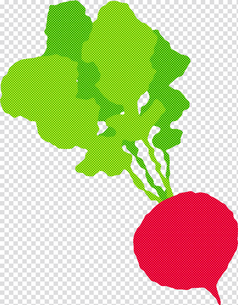 radish, Leaf, Plant Stem, Tree, Branch, Green Tea, Landscape Painting transparent background PNG clipart