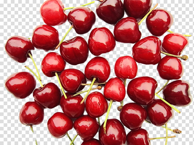 cranberry lingonberry natural foods berry cranberry, Watercolor, Paint, Wet Ink, Superfood, Cherry, Local Food, Fruit transparent background PNG clipart