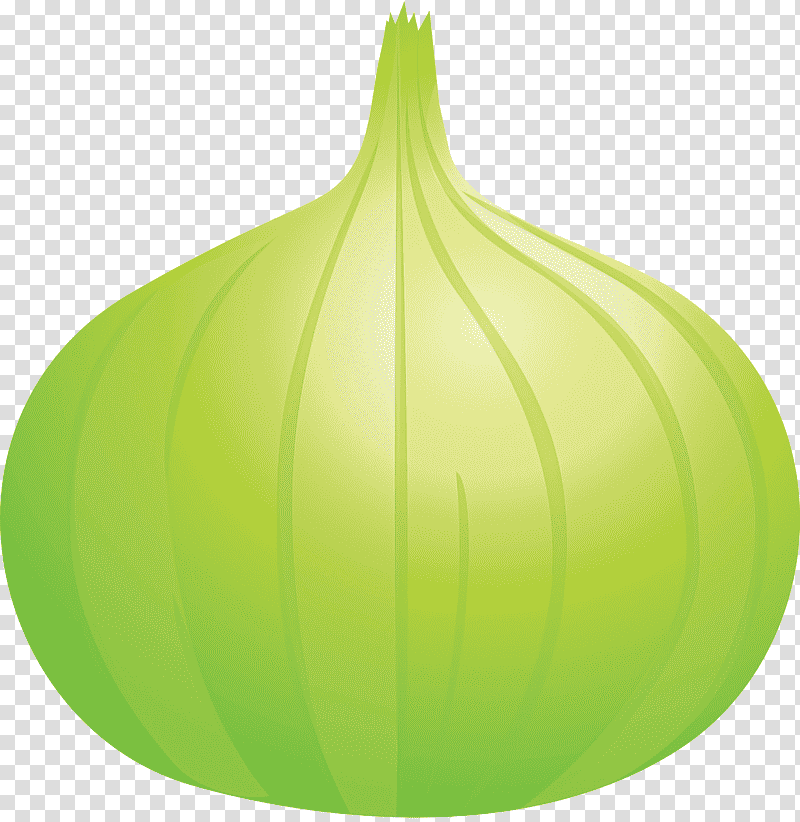 onion, Leaf, Green, Fruit, Plant Structure, Science, Biology transparent background PNG clipart