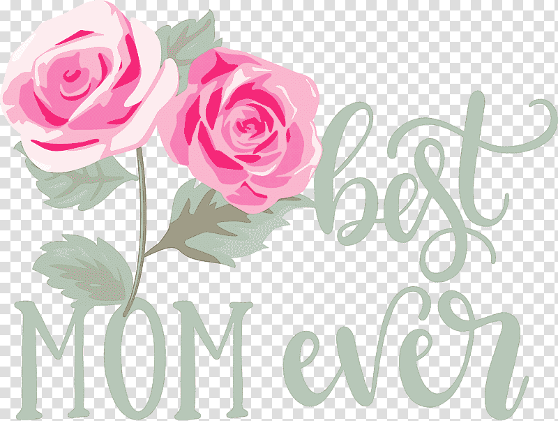 Mothers Day best mom ever Mothers Day Quote, Garden Roses, Floral Design, Flower, Cabbage Rose, Cut Flowers, Flower Garden transparent background PNG clipart