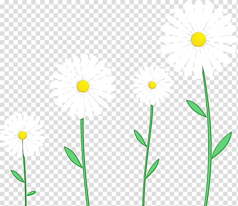 grasses plant stem leaf yellow flower, Gerbera, Daisy, Marguerite, Watercolor, Paint, Wet Ink, Commodity transparent background PNG clipart