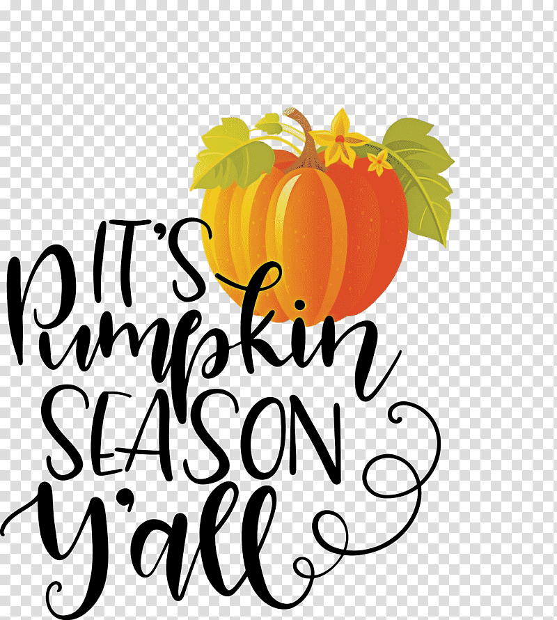 Pumpkin Season Thanksgiving Autumn, Cut Flowers, Vegetable, Logo, Fruit, Meter, Line transparent background PNG clipart