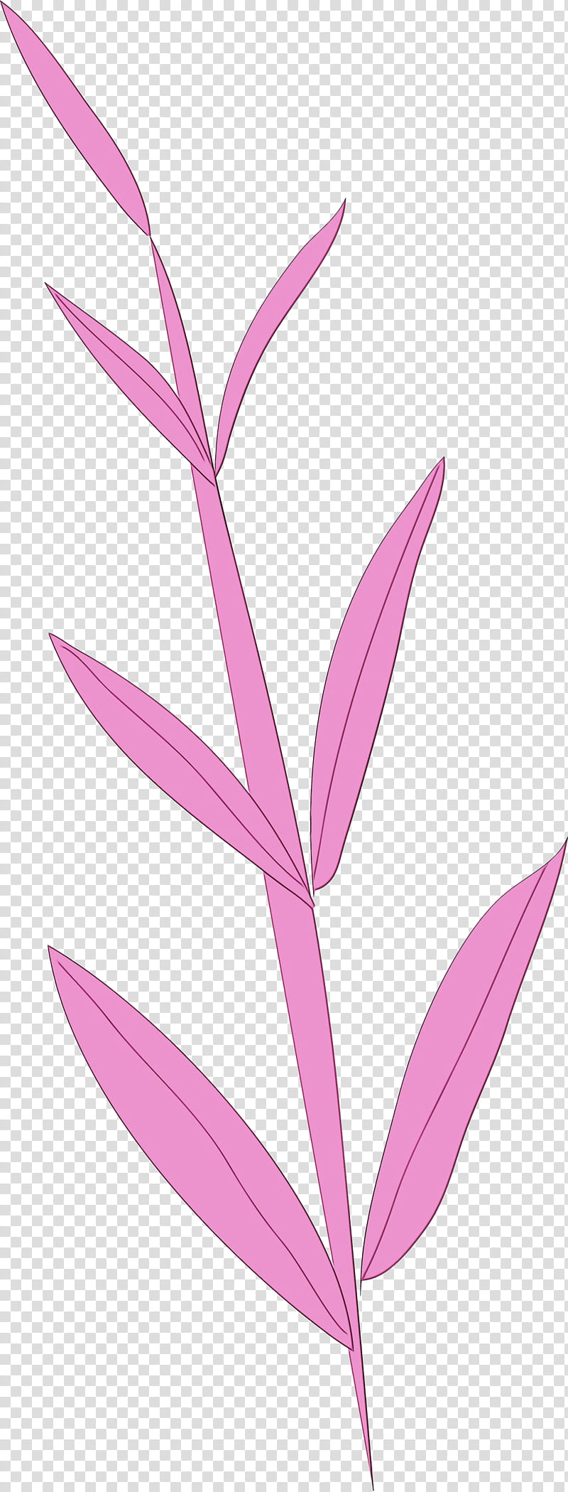 plant stem petal leaf pink m line, Simple Leaf, Simple Leaf Drawing, Simple Leaf Outline, Watercolor, Paint, Wet Ink, Flower transparent background PNG clipart