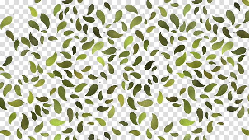 pattern leaf hue green plant stem, White, Model, Color, Backdrop, Background INFORMATION, Leaf Angle Distribution, Plants transparent background PNG clipart
