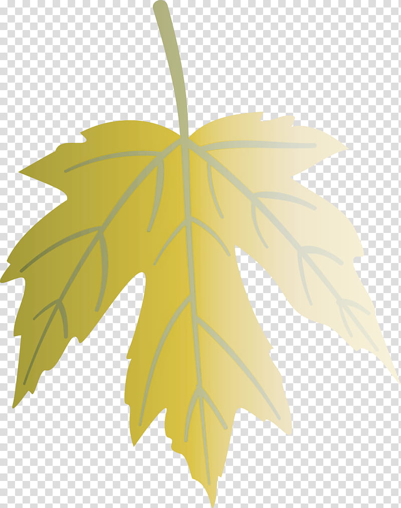 Autumn Leaf Colourful Foliage Colorful Leaves, COLORFUL LEAF, Red Maple, Plant Stem, Tree, Maple Leaf, Deciduous, Autumn Leaf Color transparent background PNG clipart