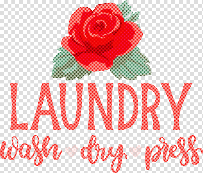 Laundry Wash Dry, Press, Floral Design, Garden Roses, Cut Flowers, Rose Family, Petal transparent background PNG clipart
