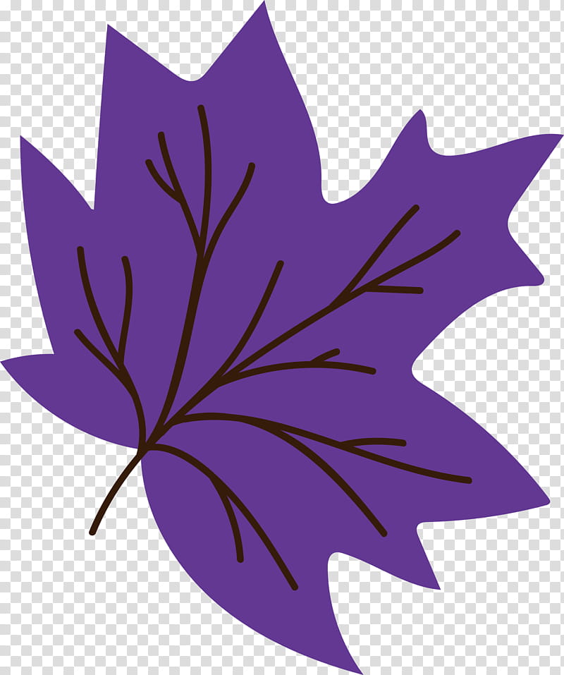 Maple leaf, Purple, Symmetry, Flower, Science, Plants, Plant Structure, Biology transparent background PNG clipart