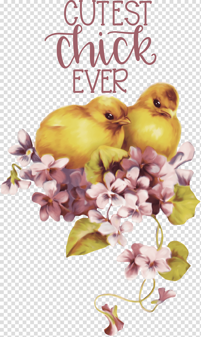 Happy Easter Cutest Chick Ever, Easter Bunny, Easter Egg, Easter Postcard, Holiday, Easter Decor, Chicken transparent background PNG clipart
