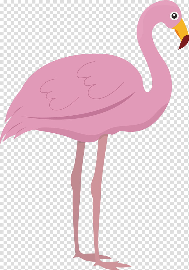 Feather, Cartoon Bird, Cute Bird, Flamingo M, Its My Intention, Beak, Hashtag, Conversation transparent background PNG clipart