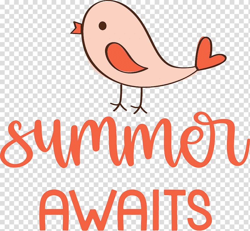 Summer Awaits Summer Summer vacation, Summer
, Birds, Beak, Logo, Water Bird, Cartoon transparent background PNG clipart